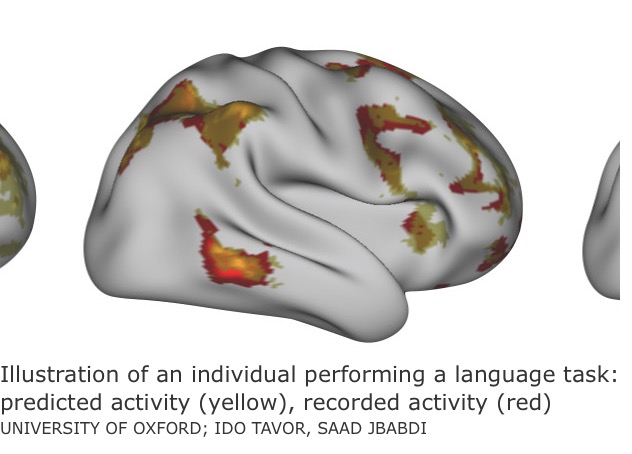 New Research: Brain Scans Predict Cognitive Performance [Premium]