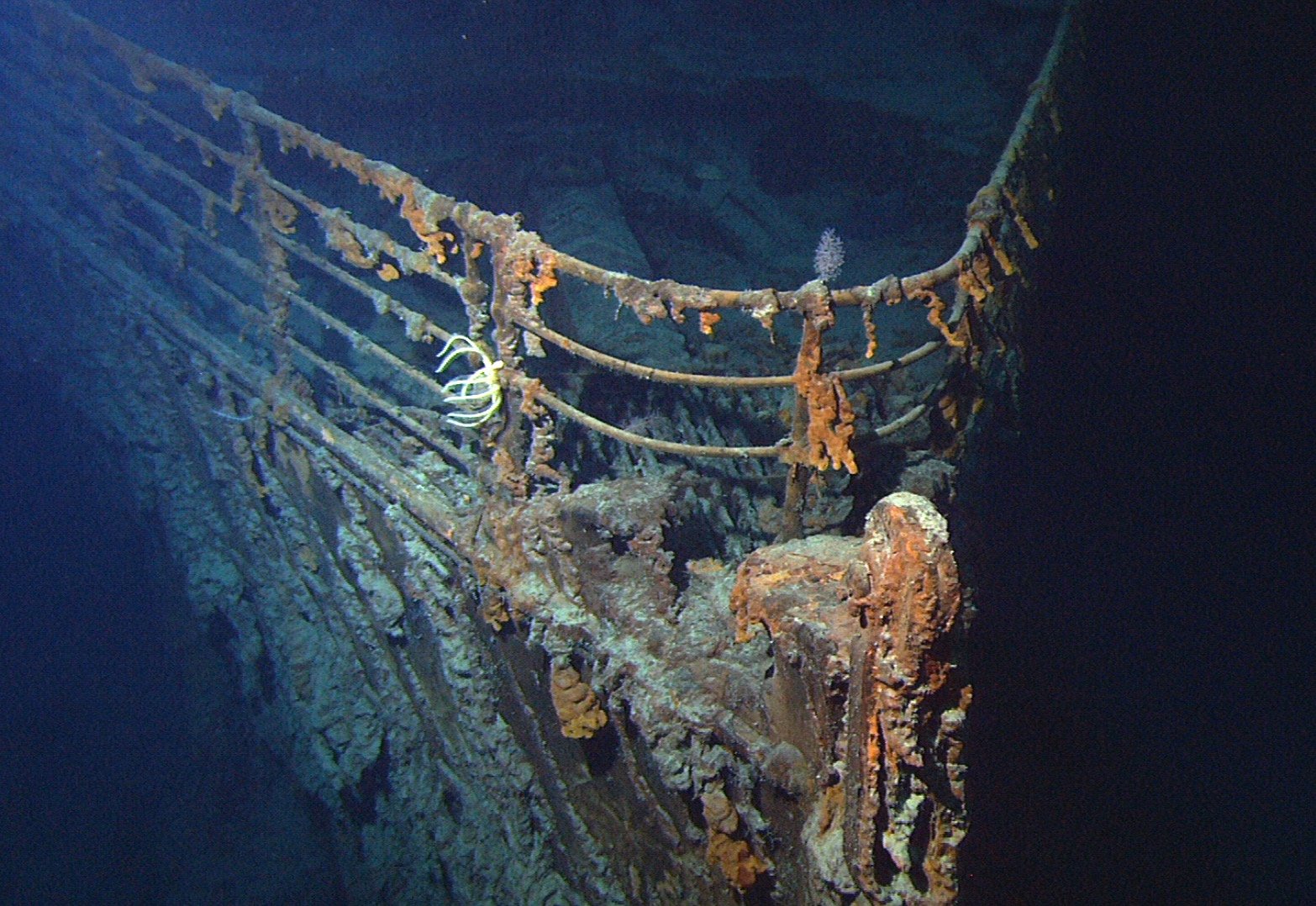Discoverer of the Titanic –  Dyslexic Ocean Explorer Robert Ballard [Premium]