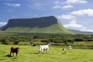 sligo