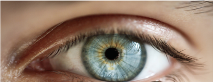 FAKE NEWS? Dyslexia Eye Controversy Goes Viral