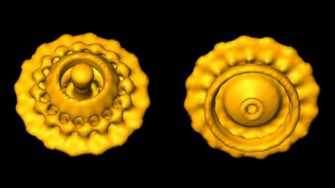 Bacterial structures visualized by Cryo-Electron Microscopy, a technique that Jacques Dubochet pioneered. 