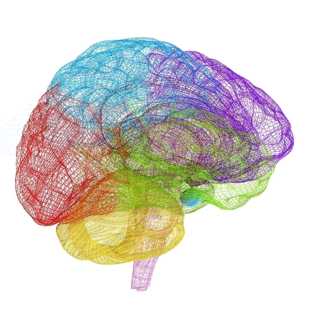 Beautiful Minds – What New Research Shows Dyslexia and Artists Have in Common [Premium]