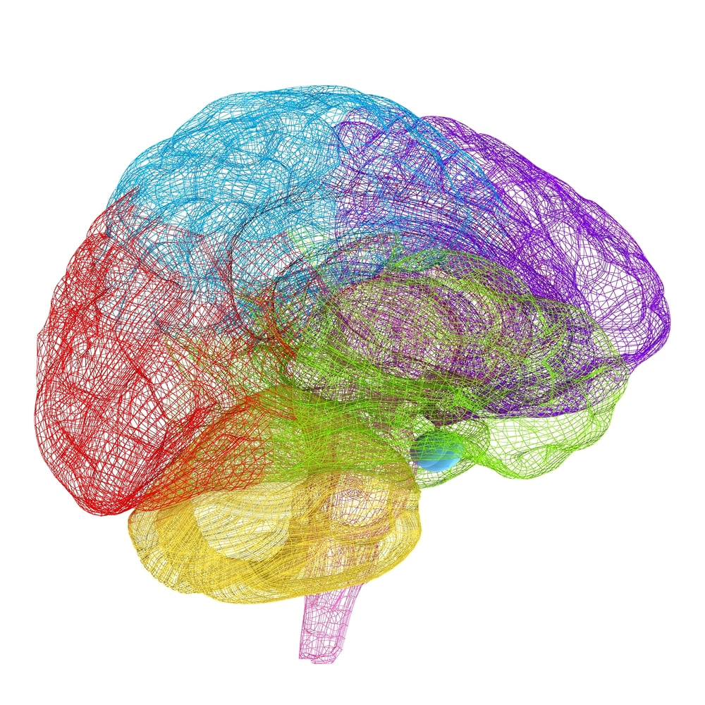 Different Brain Connectivity Patterns for Dyslexics During Literacy Development