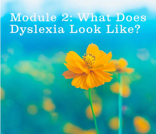 Module 2 – What’s Dyslexia Look Like and What’s My Role?