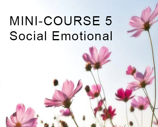 Minicourse 5 Social and Emotional