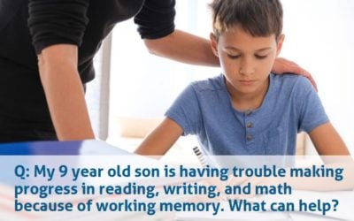 What Can Help with Working Memory Limitations?