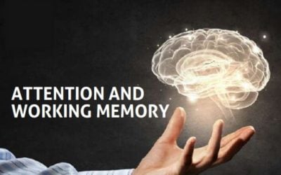 Beyond Behavior: Attention, Working Memory, or Something Else?