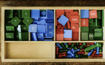 Clear Language and Manipulatives Teaching Multiplication and Division [Premium]