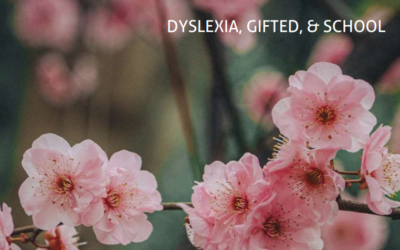 Gifted Dyslexics: Best Fit for School? [Premium]