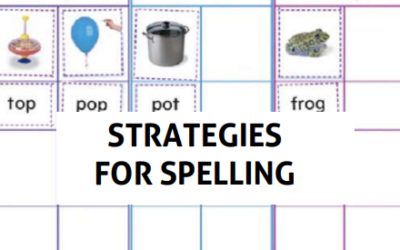 Strategies for Spelling [Premium]