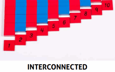 Interconnected Reasoning in Math: Dyslexic Strengths at Work [Premium]
