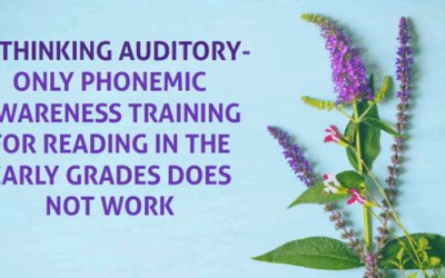 Rethinking Auditory-Only Phonemic Awareness Training for Reading in the Early Grades Does Not Work