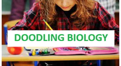Doodling Biology [Premium]